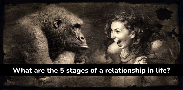 5 stages of a relationship in life